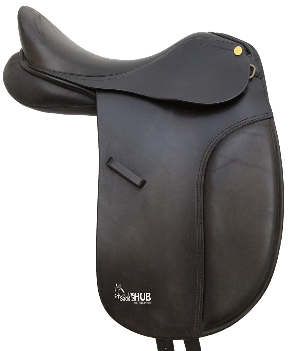 Ambassador Dressage 15.5