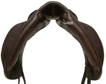 Load image into Gallery viewer, Southern Stars Dressage 17&quot;
